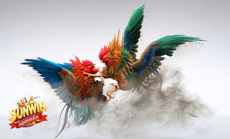 Đá Gà Cựa Sắt - Khái niệm cơ bản cần hiểu Đá Gà Cựa Sắt - Khái niệm cơ bản cần hiểu